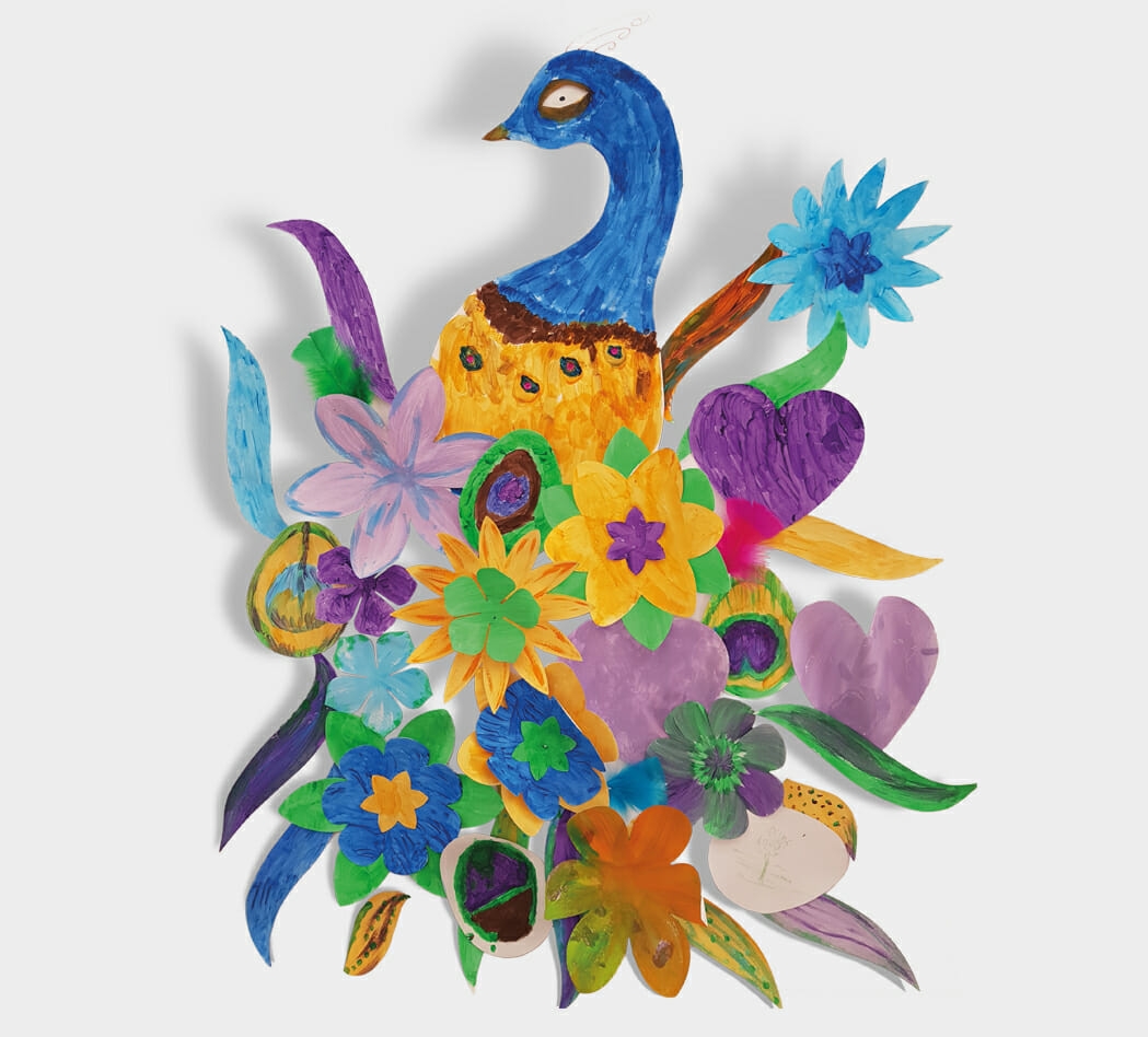 PeackockGreyBG_1049x948_acf_cropped-1