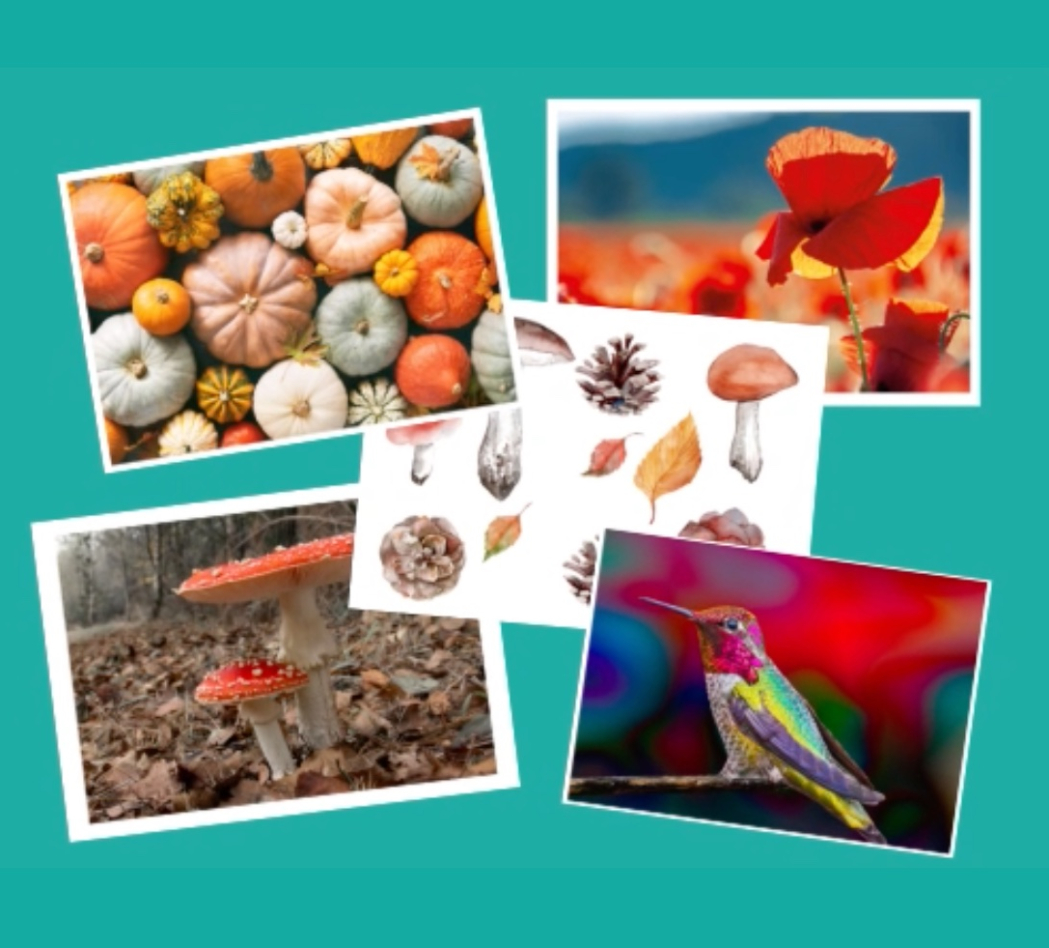 SCR-20251112-h1m_1049x948_acf_cropped