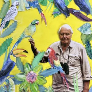 David Attenborough at 100 - Jungle