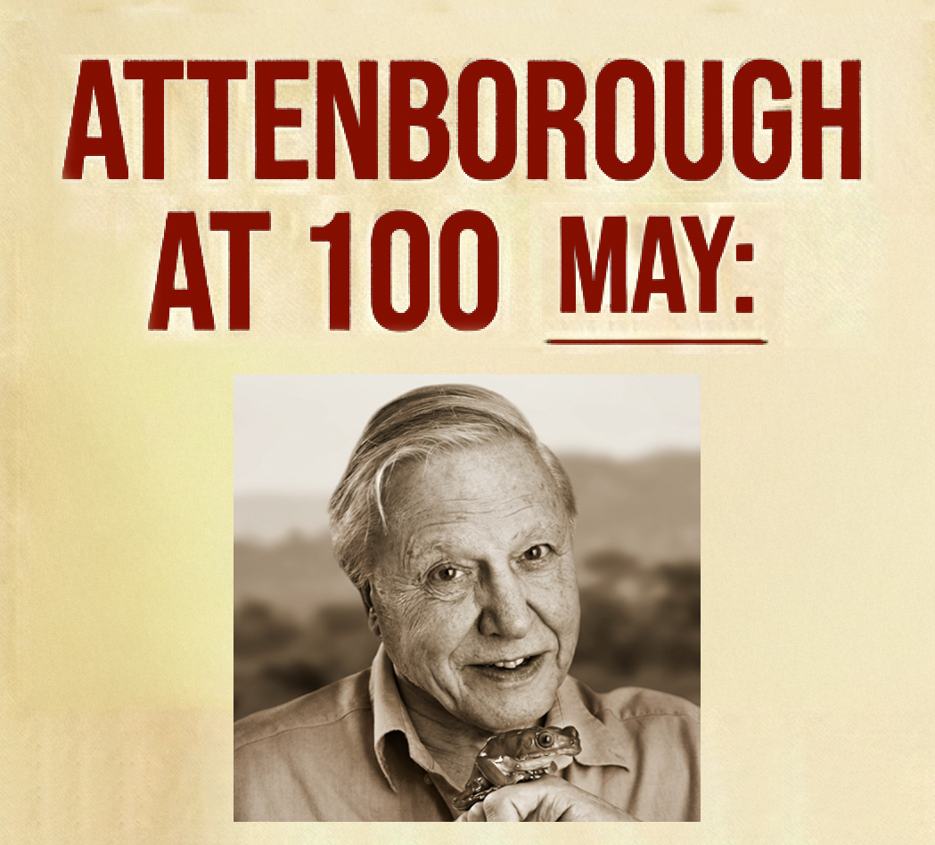 Attenborough_1049x948_acf_cropped
